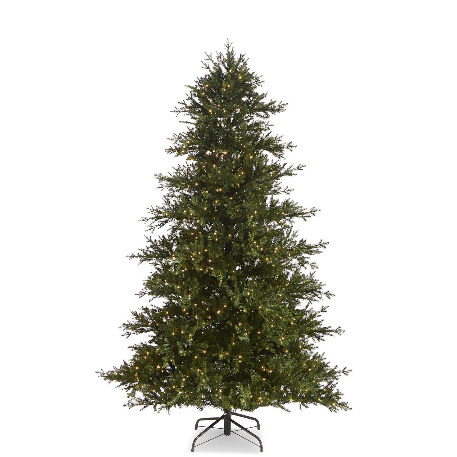 RAZ Christmas Trees 2.3m/7.5' Snake Lit Green Silverado Fir Tree